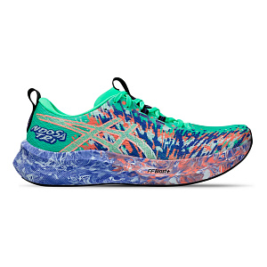 Кроссовки беговые мужские ASICS 1011B872 301 NOOSA TRI 16  