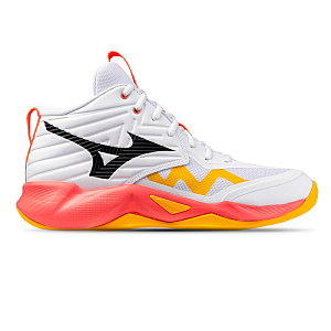 Мужские кроссовки волейбольные MIZUNO V1GA2545 01 WAVE MOMENTUM PRO MID